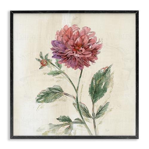 Stupell Industries Pink Traditional Dahlia Bulb Black Framed Giclee Art Design…