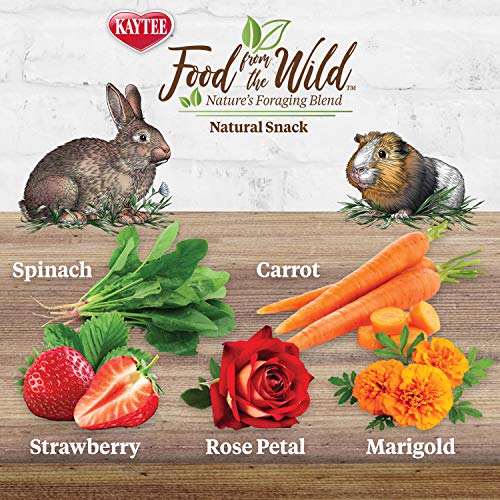 Kaytee Food from The Wild Natural Snack for Pet Rabbits, Guinea Pigs
