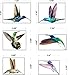 Quotidian Products Hummingbird Window Clings-Anti Collision Decal to Prevent Bird Strikes on Doors & Windows Static,UV Resistant & Non Adhesive Vinyl Cling-Deterrent Decal & Glass Decor to Alert Birds
