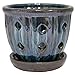 TRENDSPOT 5in Orchid Indoor Planter, 5 inch, Blue