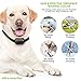 Dog Training Collar with Remote | Electric, Rechargeable and 100% Waterproof with Beep, Vibration and Stimulation Static Pulse | Electronic Pet Safe Vibrating Collar for Small, Medium and Large Dogs