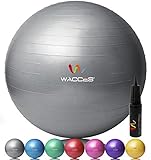 Wacces Anti-Burst Fitness Exercise Stability and Yoga Ball with Pump