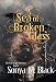 A Sea of Broken Glass: A Dark Flintlock Fantasy (The Lady & The Darkness Book 1) by Sonya M. Black