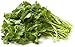 Cilantro, 1 Bunch