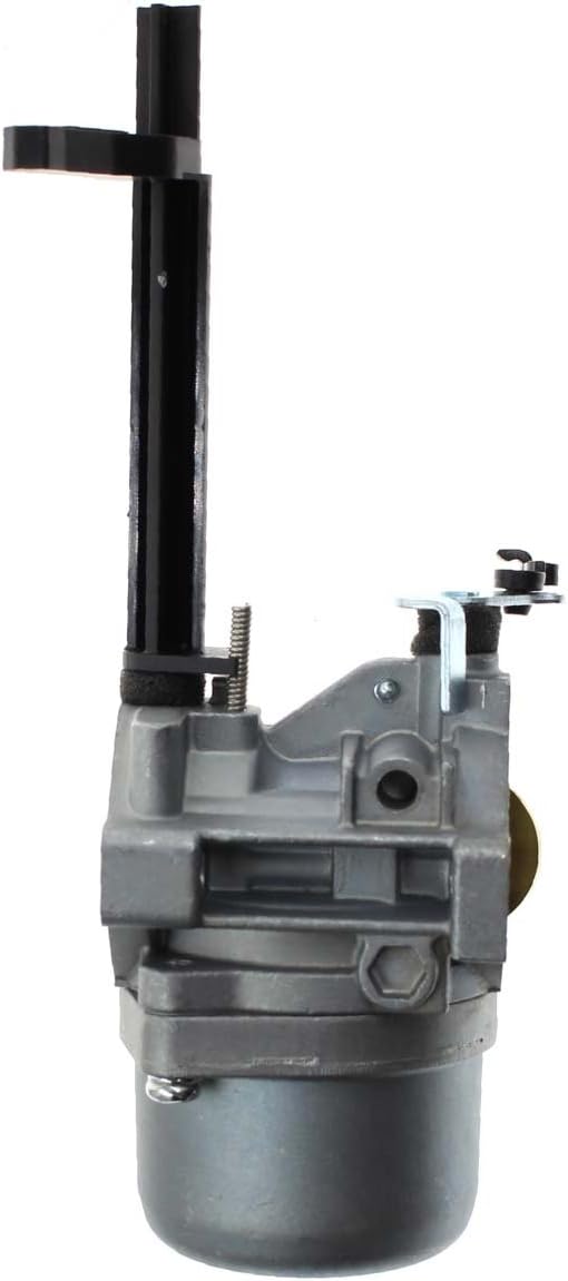 591378 Carburetor for Briggs & Stratton Snowblower 796321 696132 696133 796322 697351 699958 699966 698455 695918 694952 695919 695330 796323 695920 695328 Generator with Gaskets : Garden & Outdoor