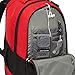 High Sierra Chaser Wheeled Laptop Backpack, Indigo Dye/Mineral, 20 x 13.5 x 8-Inch