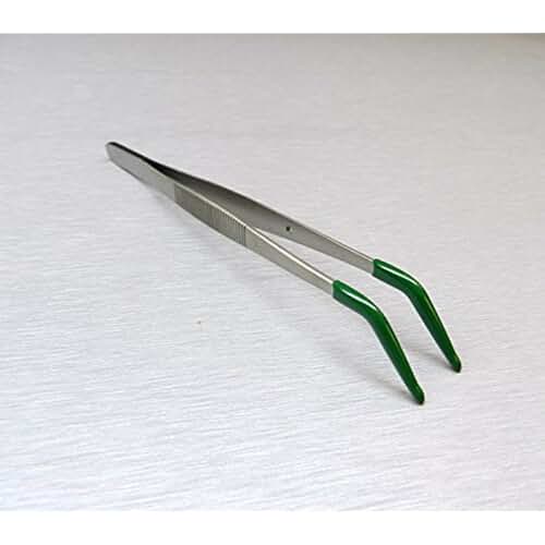 insect forceps