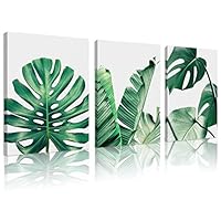 Natural art Simple Green Leaves Canvas Art Tropical Plants Artwork Minimalist Watercolor Painting Wall Decor for Bathroom Living Room Bedroom Kitchen Canvas Prints 12x16inchesx3pcs