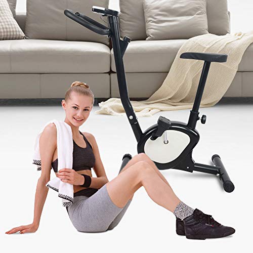 Apelila Exercise Bike Stationary Bike,Cardio Trainer Spinning Bicycle Indoor Cycling Bike (Black+WH)