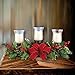 Collections Etc Holly Candle Holder Christmas Centerpiece