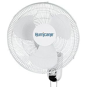 Hurricane Classic 16 Inch Oscillating Wall Mount Fan with 3 Speed Settings, White