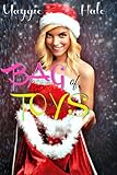 Bag of Toys (XXX-mas Book 4)