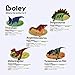Boley Classic Dinosaur Toy Set with Dino Guide Tags - 5 Pc Large Plastic Realistic Educational Dinosaur Toys for Kids Age 3+