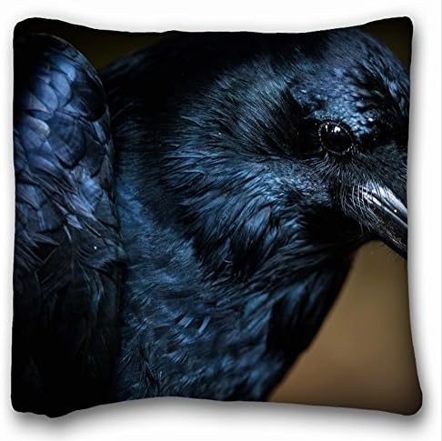 Decorative Square Throw Pillow Case Animals bird crow s eye 18"*18" Two Side