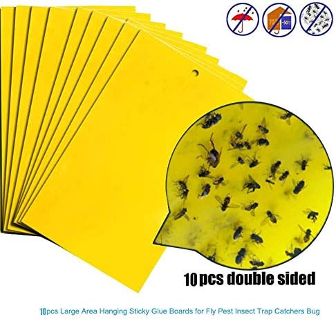 eujiancai Fly Papers Sticky Fly Traps Window Catchers Paper Stickers Strips Rolls 5-20Pcs Dual-Side for Insect Against Fungus Gnats Whiteflies Aphids Leafminers (B)