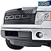 EAG Front Hood Grille ABS Replacement Upper Grill with Shell Black Fit for 09-14 Ford F-150