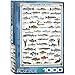 EuroGraphics Freshwater Fish 1000-Piece Puzzle