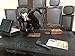 Batman: Arkham Origins Limited Edition Joker Statue