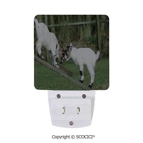 Buy Scocici 2 Pack Plug In Led Night Lights Two Little Baby Goats