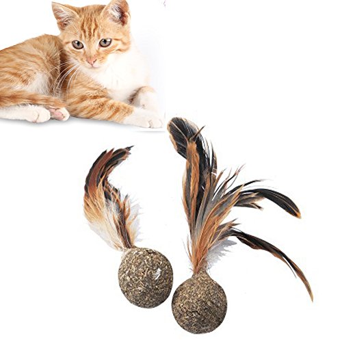 Catnip Toy Feathers Interactive Cat Toys Feather Shuttlecock Pet Cat Chewing Tease Toy