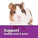 F.M. Brown's Tropical Carnival Hoops Small Animal Treats, 3-oz Bag - Vitamins and Minerals for Rabbits, Guinea Pigs, Chinchillas, Mice, Rats and Hamsters, Supports Healthy Teeth and Gums