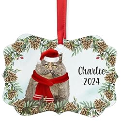 Tortoiseshell Munchkin Cat Christmas Ornament 2024