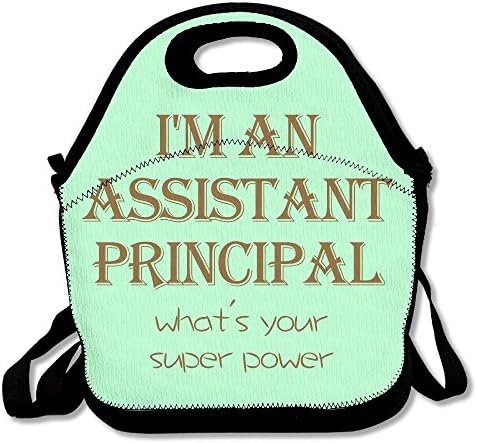 I'm An Assistant Principal Easy To Carry Travel Essential Maintenance Lunch Bags
