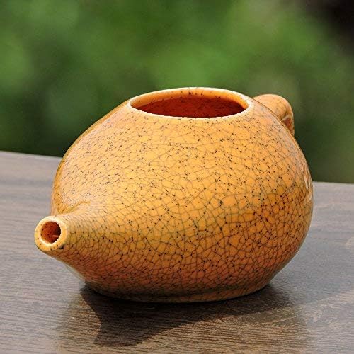 Ancient Impex Ceramic Neti Pot (270 Ml Capacity) with 5 Sachets of Neti Salt + Instructions Leaflet, Orange - Image 4