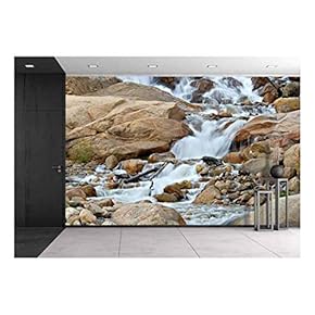 Alluvial Fan Area in Rocky Mountain National Park. - Removable Wall Mural | Self-Adhesive Large Wallpaper - 66x96 inches