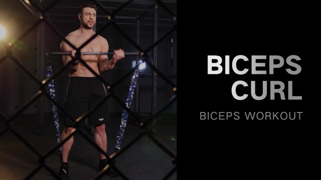 INNSTAR-Resistance-Bands-Bar-Exercise-Bands-Attachment-38-Black-Max-Load-800lb-for-Home-Gym-Workout-Full-Body-Workout-Power-Lifting-Fitness-Bar