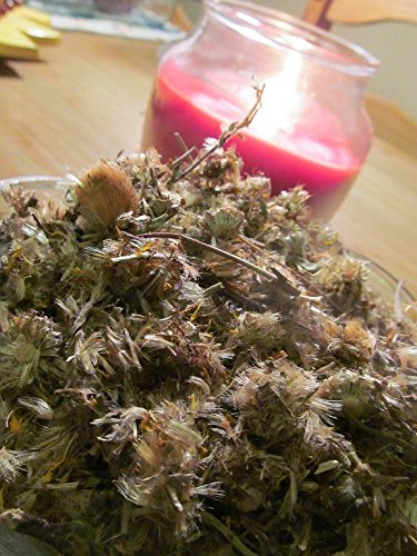 Arnica Flowers, 2 Oz Dried Flower, All Natural Fresh Herb Non GMO, Includes laminated Arnica Herb reference Card