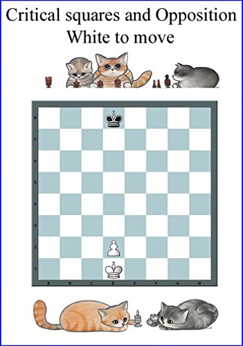 Opposition & Critical Squares: The most important Chess Pattern (Chess patterns Book 4)