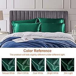 EHEYCIGA Satin Pillowcase for Hair and Skin Silk