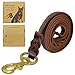 Beirui Braided Leather 6ft Dog Leash - 3/4 inch Heavy Duty Brown Training Lead