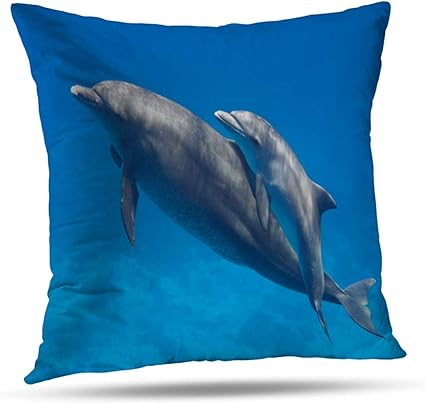 Amazon Com Pillows Case Two Cute Blue Ocean Coral Reef Baby