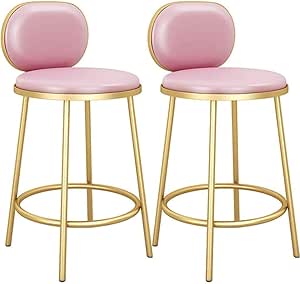 genneric Restaurante Silla, Conjunto de 2 Piezas en la Tendencia de