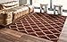 Machine Washable Moroccan Trellis Design Jute Back 5x7 Modern Indoor Area Rug for Living Room, Bedroom, Dining Room, Office, 5'3