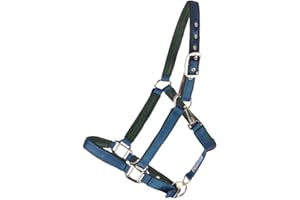 Dura-Tech Deluxe Fully Padded Breakaway Horse Halter | 1” Double Ply Nylon Web Overlay | Heavy-Duty Hardware | Semi Custom Fit | 3-Point Cheek Attachment