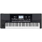 Korg 61-Key Arranger Color Touchview Display (PA300)