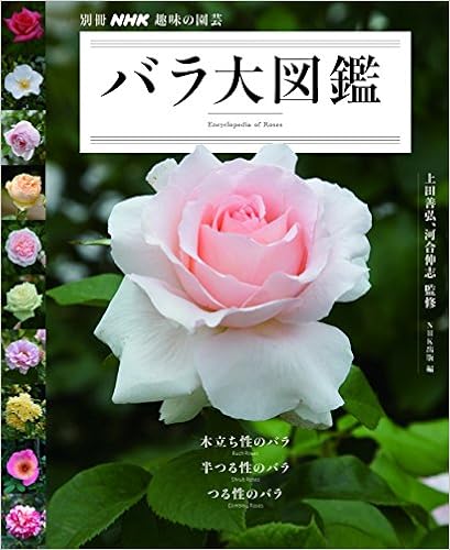 バラ大図鑑 別冊nhk趣味の園芸 上田 善弘 河合 伸志 Nhk出版 本 通販 Amazon