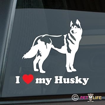 i love my husky