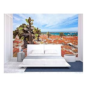 Beautiful Landscape of Galapagos South Plaza Island - Removable Wall Mural | Self-Adhesive Large Wallpaper - 66x96 inches