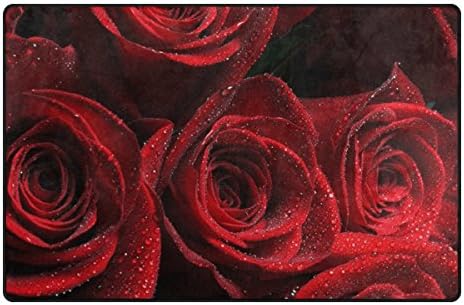 INGBAGS Super Soft Modern Valentine's Day Red Rose Area Rugs Living Room Carpet Bedroom Rug for Children Play Solid Home Decorator Floor Rug and Carpets 31 x 20 Inch