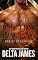Livro Echo: Queimar (Homens de Echo Ridge Livro 1)