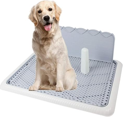puppy potty box