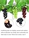 HUIANER Fake Grapes 3 Bunches of Simulation Grape Fruit Artificial Grape Vines Lifelike Leaves for Wedding Home Indoor Outdoors Party Garden Wall Decoration