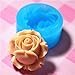 041LBH Flower/Rose Silicone Flexible Push Mold Miniature Food Sweets Jewelry Charms (Clay Resin Epoxy Gum Paste Fondant)