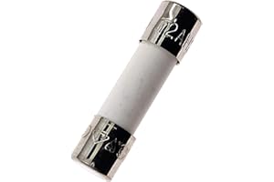 CHENGHONGXING 10PCS Ceramic fuses T2AH250V Slow-Blow 5x20mm/0.197"x0.787" 2Amp 250V (T2A)