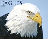 Eagles 2010 Calendar by