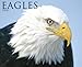 Eagles 2010 Calendar by